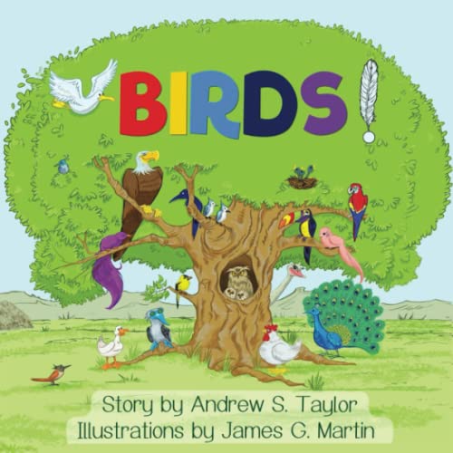 BIRDS! (Paperback)