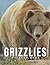 Picture Of Grizzlies by Nathaniel Wells