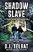 SHADOW SLAVE: A Trafficking Rescue Novel (Never Lost Series Book 2)