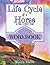 The Life Cycle of a Horse: ...