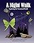 A Night Walk: Exploring the...