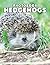 The Photo Of Hedgehogs: Com...