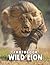 A Photo Book Of Wild Lion: ...
