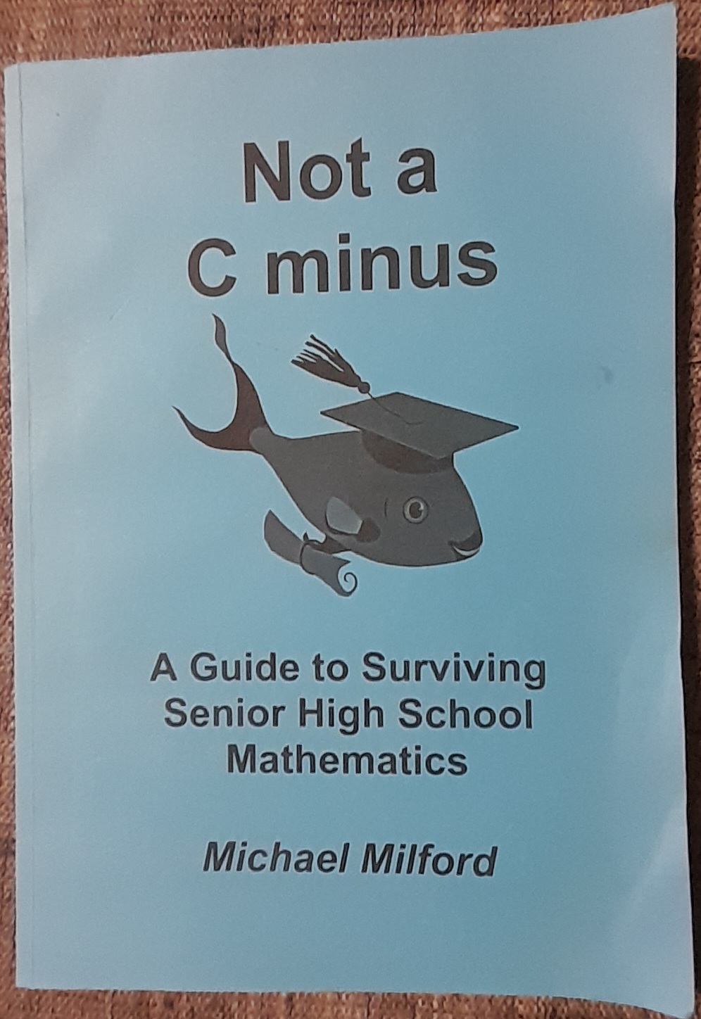 Not a C Minus: A guide to surviving high school mathematics