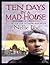 TEN DAYS IN A MAD-HOUSE