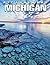 Picture Of Michigan: A Wond...