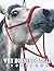 A Photo Book Of Why Horses ...