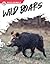 Wild Boars
