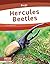 Hercules Beetles by Trudy Becker