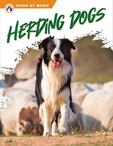 Herding Dogs (Dogs at Work)
