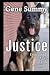 Justice: Driftwood after Dark - Volume 3