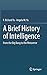 A Brief History of Intelligence: From the Big Bang to the Metaverse