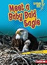 Meet a Baby Bald Eagle by Heather E. Schwartz