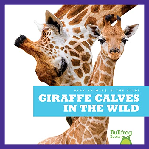 Giraffe Calves in the Wild (Bullfrog Books: Baby Animals in the Wild!)