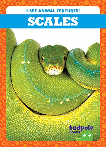 Scales (Tadpole Books: I See Animal Textures!)