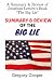 SUMMARY & REVIEW OF THE BIG...