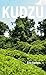 Kudzu