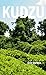 Kudzu