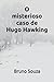 O misterioso caso de Hugo Hawking by Bruno Souza