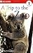 Read and Listen Books: A Trip to the Zoo/A Trip to the Library (Read & Listen Books)