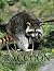 Raccoon Photo Book: Compell...