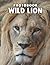 Picture Book Of Wild Lion by Graham Miller