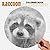 Raccoon Spiroglyphics Color...