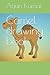Camel drawing book