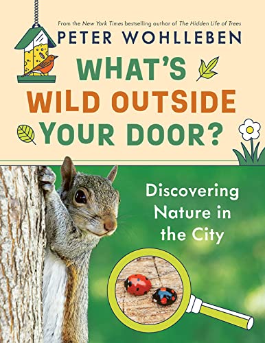 What's Wild Outside Your Door?: Discovering Nature in the City (Hardcover)