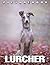 Picture Of Lurcher: A Wonde...