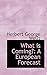 What Is Coming? a European Forecast