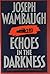 Echos In The Darkness