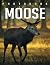 Picture Book Of Moose: Comp...