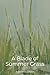 A Blade of Summer Grass: A ...