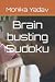 Brain busting Sudoku