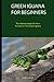 GREEN IGUANA FOR BEGINNERS:...