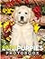 Golden Retriever Puppies Photo Book by Victor Bennet