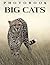 Picture Book Of Big Cats: C...