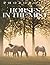 The Picture Book Of Horses In The Mist by Sienna Anderson