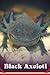 BLACK AXOLOTL: FEEDING AND ...