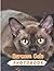 Burmese Cats Photography Bo...
