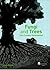 Fungi and Trees: Their Comp...