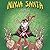 Ninja Santa
