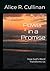 Power in a Promise: How God...