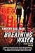 Breathing Water: A Poke Rafferty Thriller (Poke Rafferty Thrillers)