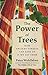 The Power of Trees: How Ancient Forests Can Save Us if We Let Them
