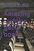 Amazing sudoku game book