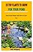 25 TOP PLANTS TO GROW FOR Y...