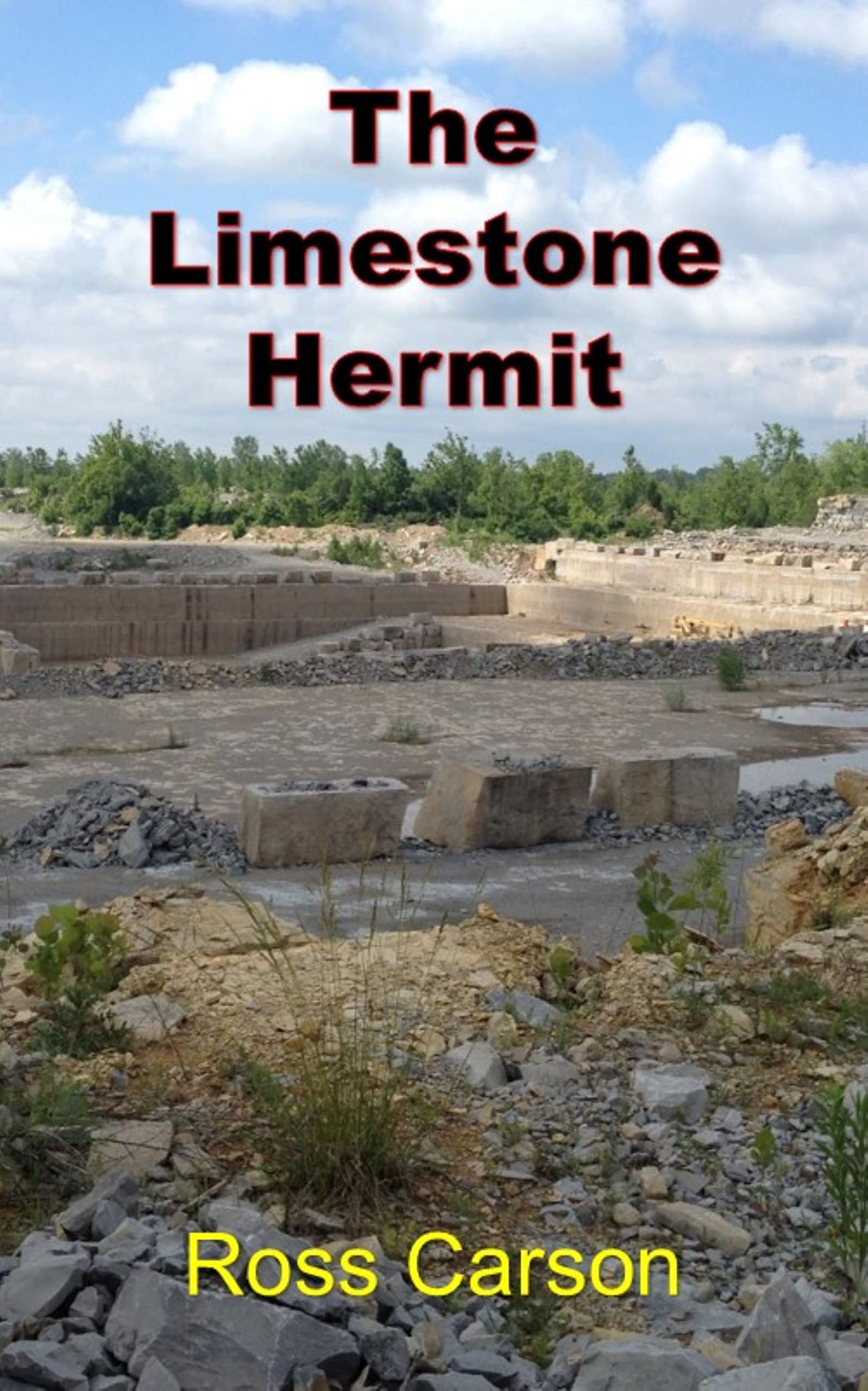 The Limestone Hermit (Kindle Edition)