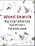 Word Search Big City/Little...